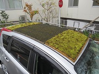 自動車緑化（クリックで写真が拡大します）