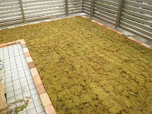 大阪府箕面市屋根緑化（クリックで写真が拡大します）
