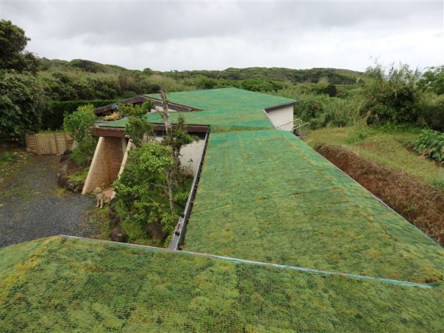 種子島屋根緑化